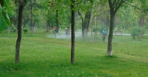 Stire din Social : "Curățăm Constanța noastră". Lucrătorii de la salubrizare au ajuns și în cartierul Inel II