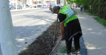 Stire din Social : "Curățăm Constanța noastră". Plantări de copaci în parcul de la Gară și în parcul Tăbăcărie