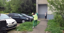 Stire din Social : "Curățăm Constanța noastră". Arborii din cartierele Tomis II și Tomis III, tăiați și toaletați