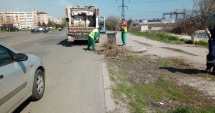 Stire din Social : Mobilizare în parcurile din Poarta 5 și Poarta 6. A început campania "Curățăm Constanța noastră!"