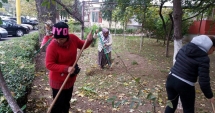 Stire din Social : Sute de tone de gunoaie, adunate în cadrul campaniei "Curățăm Constanța noastră"