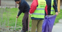 Stire din Social : Gazon nou în parcul de la Gară