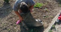 Stire din Social : Persoanele cu dizabilităţi ecologizează oraşul Negru Vodă