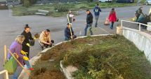 Stire din Social : Voluntarii Asociaţiei "Viitorul oraşului tău" au plantat copaci în curtea Spitalului CF Port