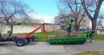 Curățenie de primăvară în municipiul Constanța și stațiunea Mamaia
