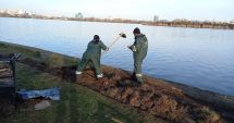 Stire din Social : Parcul Tăbăcărie este igienizat