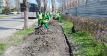 Stire din Social : Curăţenie generală în staţiunea Mamaia