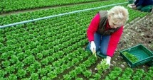 Stire din Economie : Curs de agricultură ecologică, la Constanța