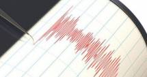 Stire din Social : Cutremur în Vrancea. Vezi ce magnitudine a avut