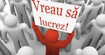 Stire din Economie : Cutremurător! Un milion de tineri refuză munca