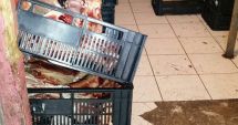 Stire din Social : Galerie FOTO-VIDEO. Imagini șocante dintr-o măcelărie din Piața Tomis III Constanța. Ce mizerii primeau clienții în loc de carne