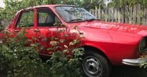 Stire din Auto : Roșia de Drăgășani! Nu arată deloc rău, dar prețul…
