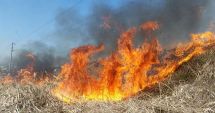 Stire din Eveniment : Peste 600 de hectare de vegetație uscată au ars în 5 incendii