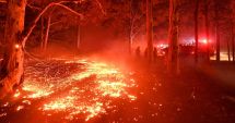 Stire din Actualitate : Iohannis decretează: România ajută Australia în lupta cu incendiile