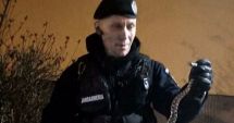 Stire din Eveniment : ALERTĂ într-un bloc din Constanța: UN ȘARPE a speriat locatarii!