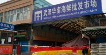 Stire din Actualitate : Virusul care înspăimântă China provine dintr-o piață de fructe de mare