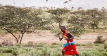 Stire din Actualitate : DEZASTRU ÎN CORNUL AFRICII! Fermierii recurg la măsuri disperate împotriva lor!