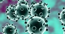 Stire din Actualitate : Coronavirusul, recreat în laborator de cercetătorii australieni