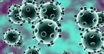 Stire din Actualitate : Suspiciunile de coronavirus, infirmate în cazul românului internat în Italia