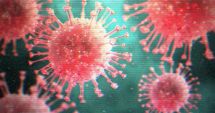 Stire din Social : CORONAVIRUS / Iată ce propune CONAF!