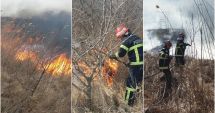 Stire din Eveniment : INCENDIU DEVASTATOR. ARD ZECI DE HECTARE DE PĂDURE, LA VADU OII!