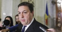 Stire din Politică-Administrație : Șerban Nicolae, candidatul PSD la șefia Senatului