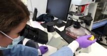 Stire din Actualitate : Primul pas pentru dezvoltarea unui medicament împotriva coronavirusului