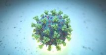 Două tipuri de coronavirus care pot genera infecții, descoperite de cercetători