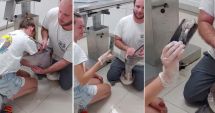Stire din Actualitate : Atenție la pelicani! Pot înghiți orice… inclusiv un telefon mobil!