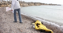 Stire din Eveniment : Femeia disparută la Mangalia, în apele Mării Negre, GASITĂ DECEDATĂ