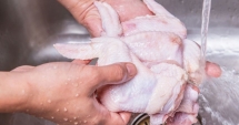 Stire din Social : Alertă în România! 1.500 de kg de carne de pui importată din Polonia, depistată cu Salmonella