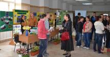 Stire din Cultură-Educație : Decide-ți viitorul la Târgul Educațional Maritimo