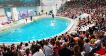 Stire din Cultură-Educație : Program de vară la Complexul Muzeal de Științe ale Naturii