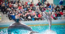 Stire din Social : Delfinariul Constanța este închis pe termen nedefinit