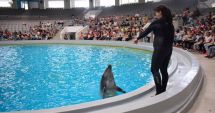 Stire din Social : Spectacolele de la Delfinariu vor fi reluate în luna iunie