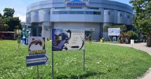 Stire din Social : Începe bătălia pentru șefia Complexului Muzeal din Constanța