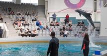 Stire din Social : Delfinariul și Acvariul vor fi extinse, Planetariul rămâne închis