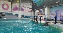 Stire din Social : Spectacolele cu delfinii pot fi urmărite zilnic, la Delfinariul din Constanța
