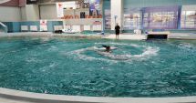 Stire din Cultură-Educație : Delfinii se dau în spectacol, sâmbătă şi duminică
