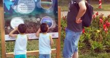 Stire din Social : Delfinii din Marea Neagră, aduși, de ziua lor, în Parcul Tăbăcărie