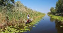 Stire din Social : Creștere spectaculoasă a numărului permiselor de pescuit sportiv în Deltă