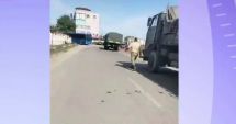 Stire din Social : Mobilizare a Armatei în Delta Dunării. A început construcția adăposturilor antiaeriene