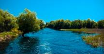 Stire din Cultură-Educație : Biodiversitatea Deltei Dunării, prezentată la Săptămâna culturilor străine