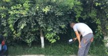 Stire din Social : Dezinsecție și deratizare, în cartiere din Constanţa