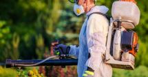 Stire din Social : Administrația locală intensifică, pentru sezonul cald, acțiunile de dezinsecție