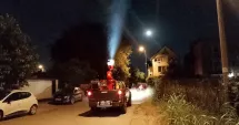 Stire din Social : Dezinsecție în Constanța și Mamaia. Municipalitatea intervine împotriva insectelor