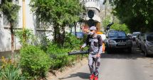Stire din Social : Acțiunile de dezinsecție continuă și în această săptămână