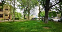Stire din Social : Constănțeni, a început dezinsecția! Iată ce trebuie să știți