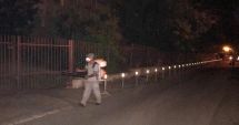 Stire din Eveniment : Constanța continuă lupta cu insectele!