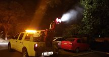 Stire din Social : Dezinsecție în toate cartierele constănțene